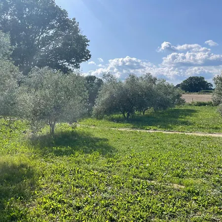 Sous Les Etoiles En Provence, Gite Les Grands Chenes Lurs Exterior photo