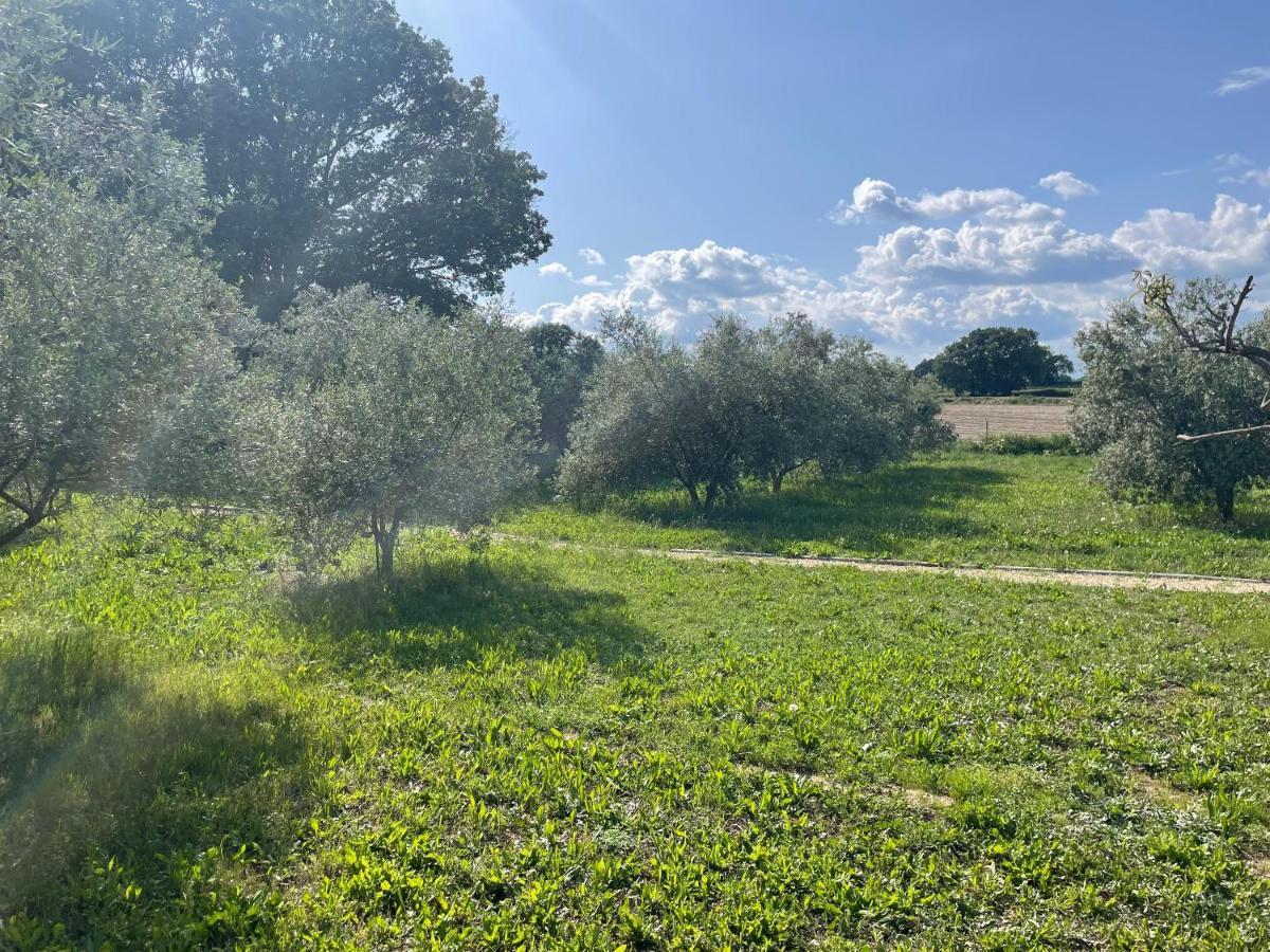 Sous Les Etoiles En Provence, Les Grands Chenes Holiday home Lurs
