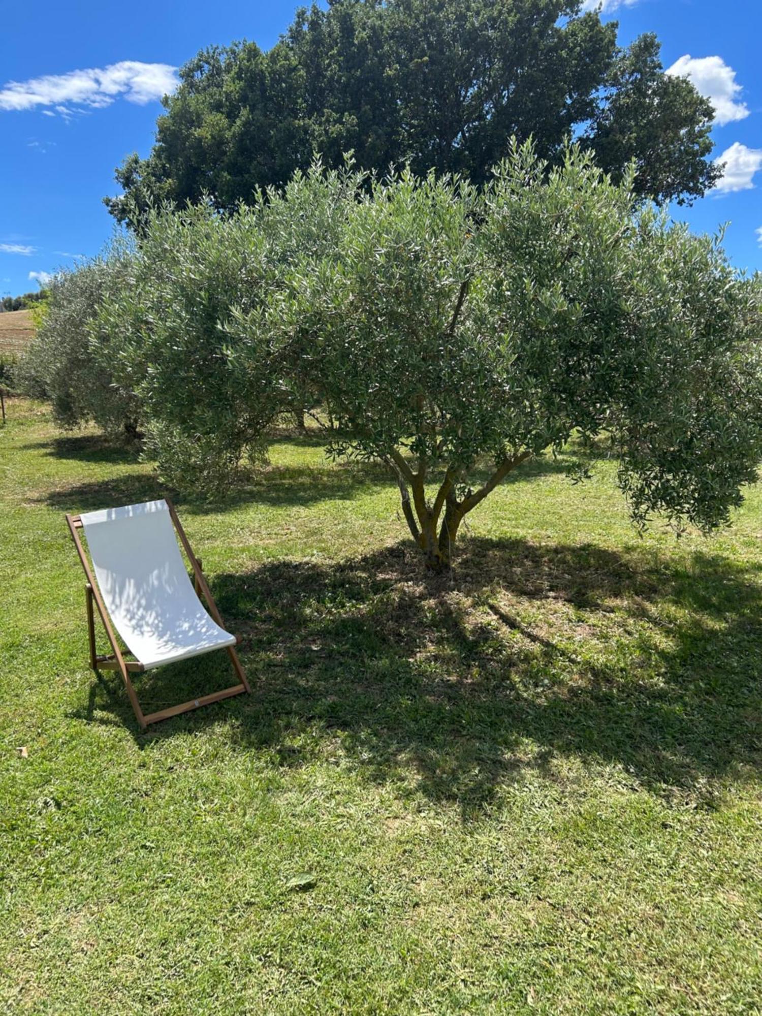 Sous Les Etoiles En Provence, Les Grands Chenes Holiday home