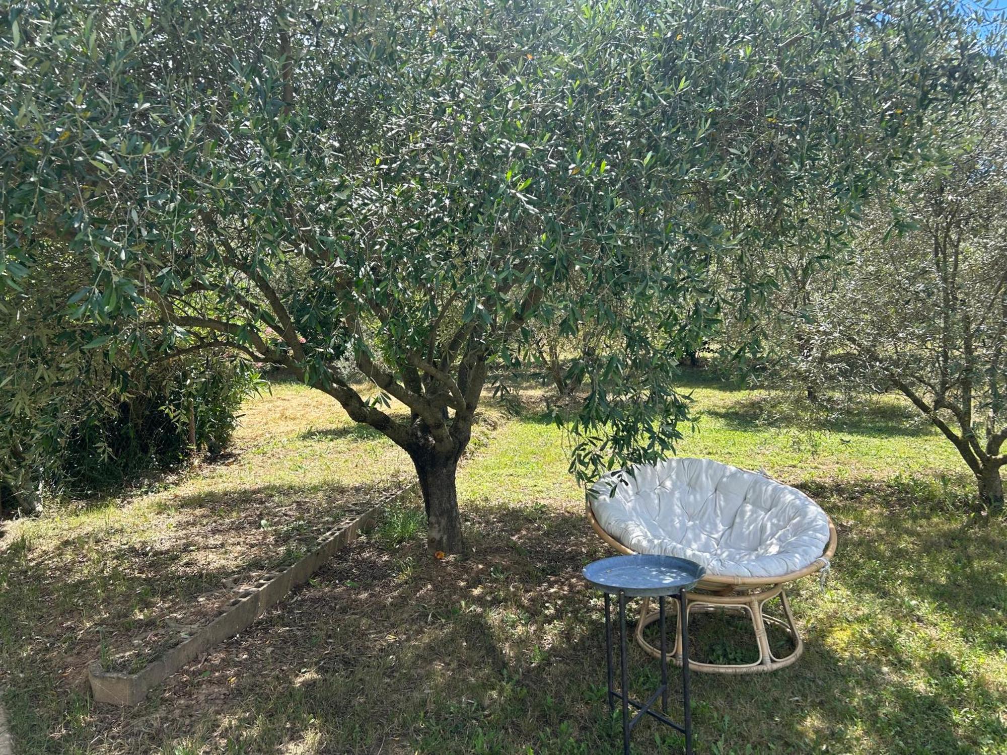 Sous Les Etoiles En Provence, Les Grands Chenes *