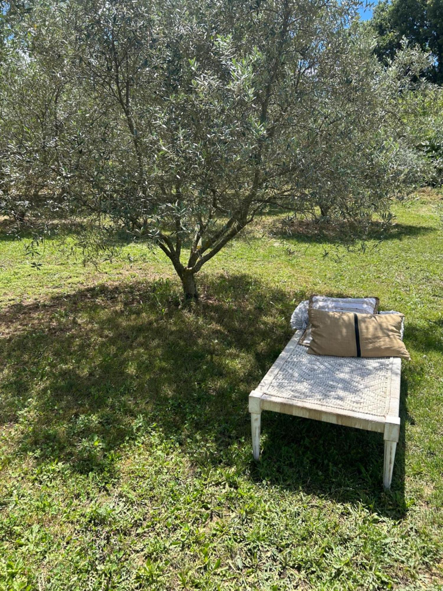 Sous Les Etoiles En Provence, Les Grands Chenes Holiday home *
